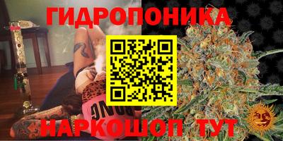 прущие грибы Северобайкальск